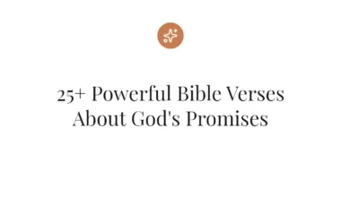 25+ Powerful Bible Verses About God's Promises