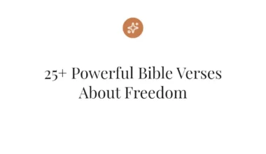 25+ Powerful Bible Verses About Freedom